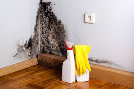 Why You Should Choose Our Mold Remediation Services in Brownlee Park, MI